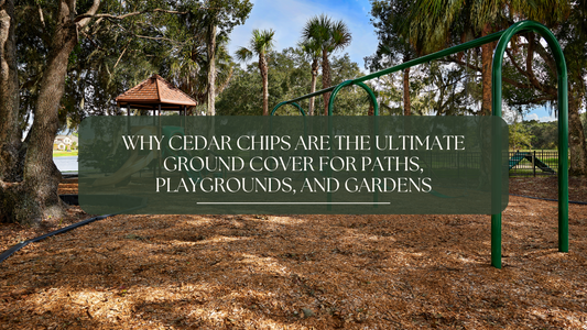 Why Cedar Chips Are the Ultimate Ground Cover for Paths, Playgrounds, and Gardens