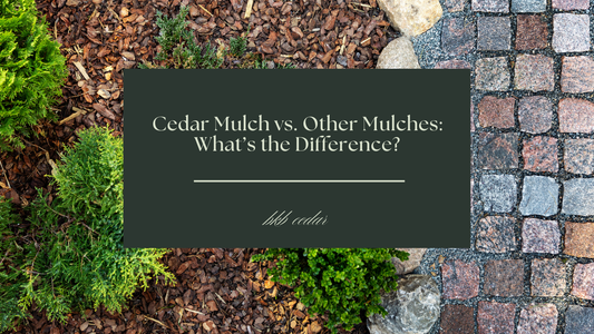 Cedar Mulch vs. Other Mulches: What's the Difference?