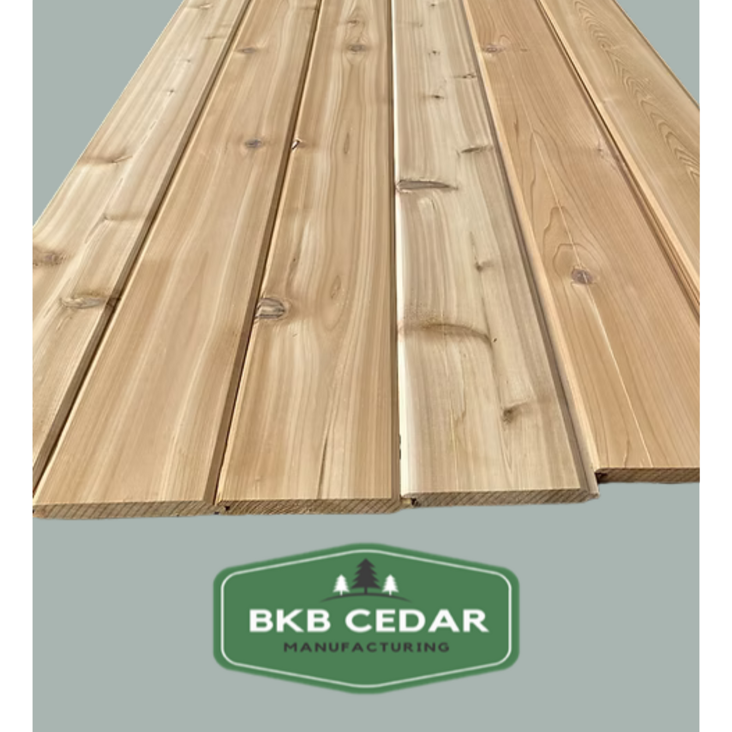 Cedar T&G