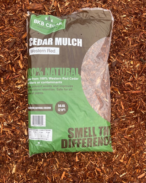 Western Red Cedar Local Pick Up