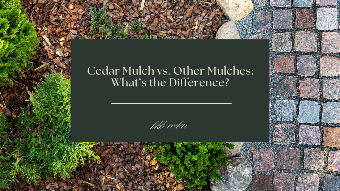 Cedar Mulch vs. Other Mulches: What's the Difference?